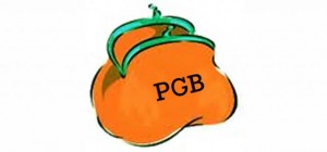 Persoons gebonden budget