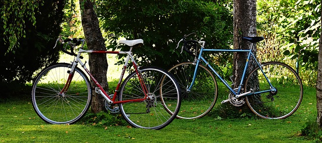 Natuur sporten racefietsen
