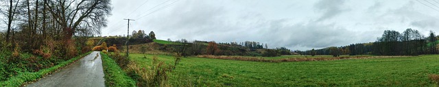 Landschap natuur bomen landweg